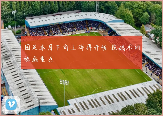 国足本月下旬上海再开练 技战术训练成重点