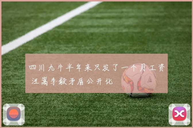 四川九牛半年来只发了一个月工资 汪嵩李毅矛盾公开化