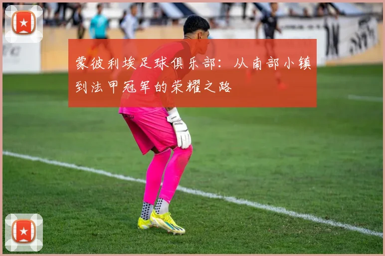 蒙彼利埃足球俱乐部：从南部小镇到法甲冠军的荣耀之路