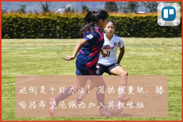 这倒是个好办法！若执教曼联，滕哈格希望范佩西加入其教练组