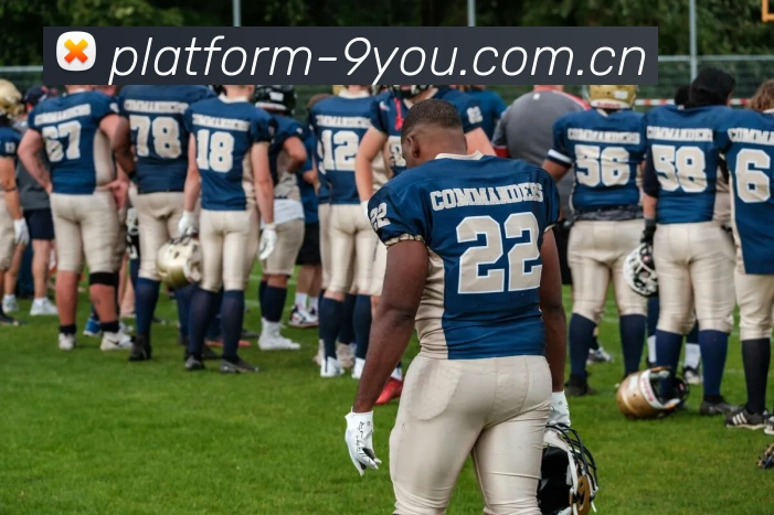 App Interface Preview