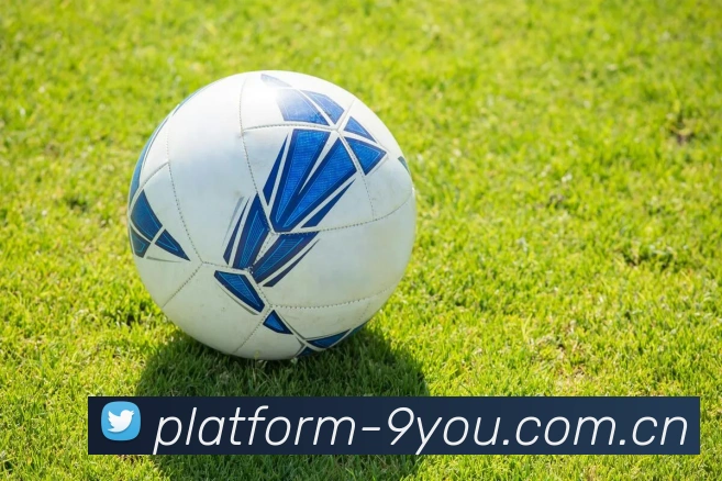 九游体育APP 封面图